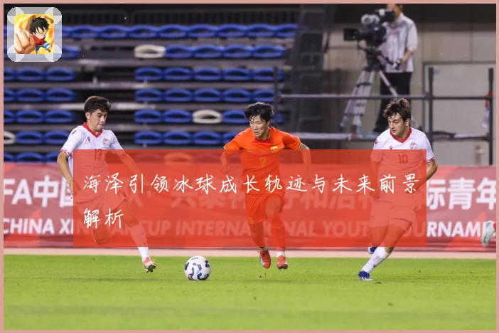 海泽引领冰球成长轨迹与未来前景解析