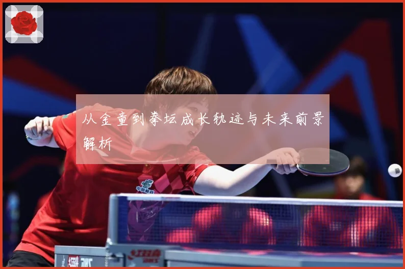 从金童到拳坛成长轨迹与未来前景解析