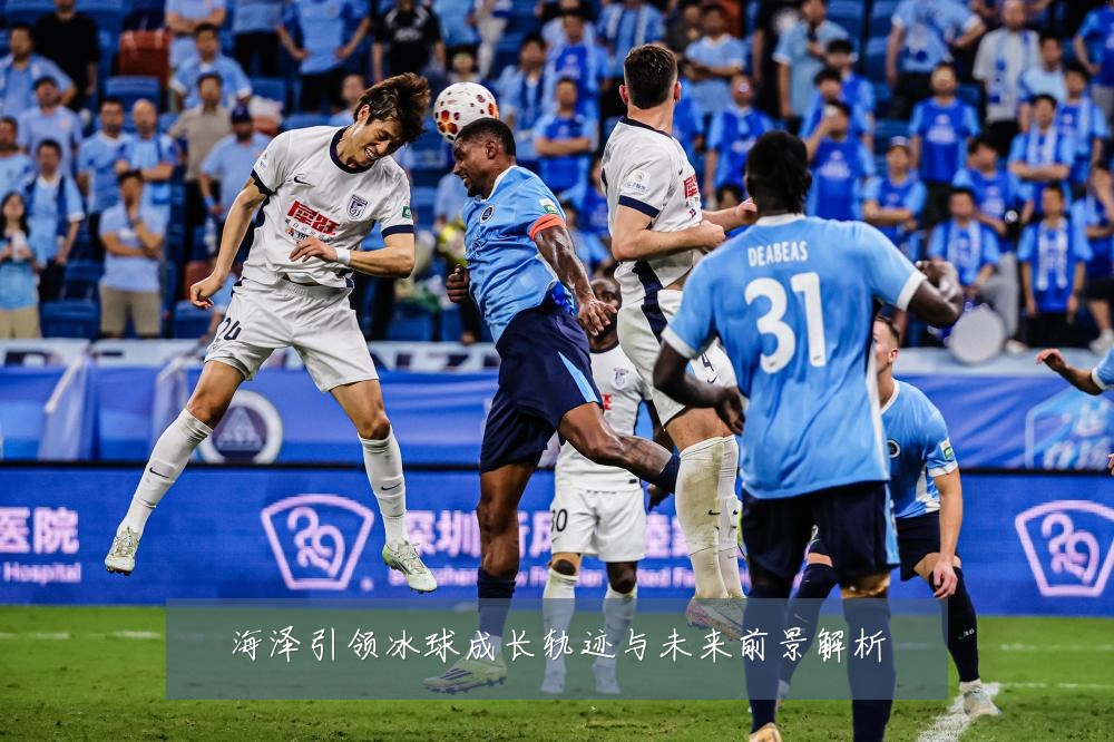 海泽引领冰球成长轨迹与未来前景解析